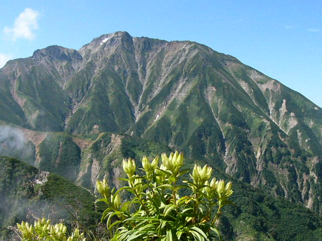 e0145782_16553147.jpg