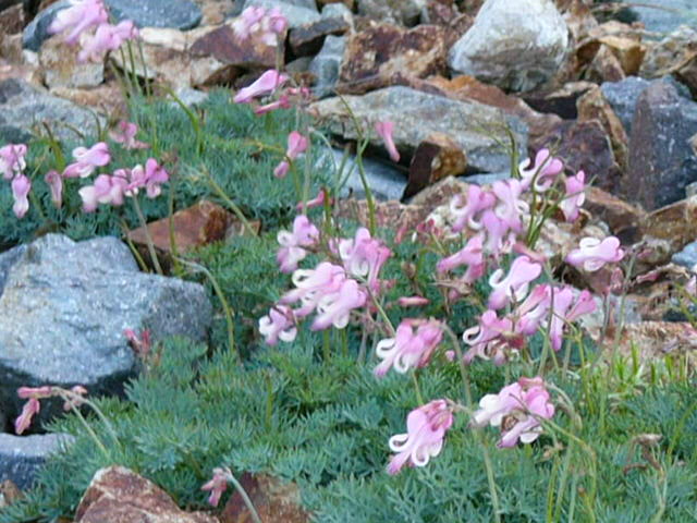 e0145782_1659197.jpg