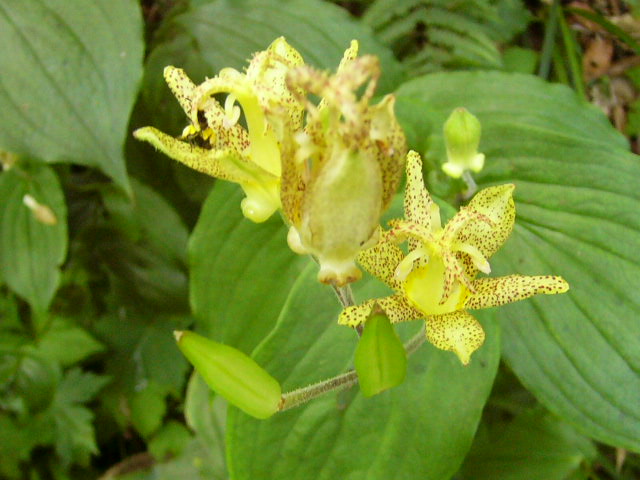 e0145782_1702290.jpg