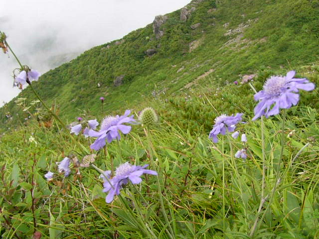 e0145782_17194690.jpg