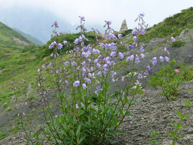e0145782_17202965.jpg