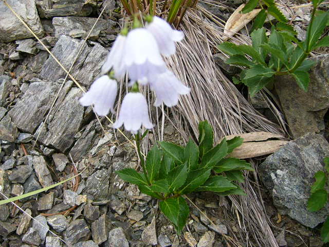 e0145782_17205526.jpg