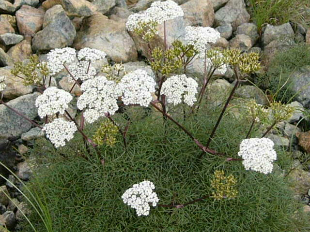 e0145782_1722044.jpg