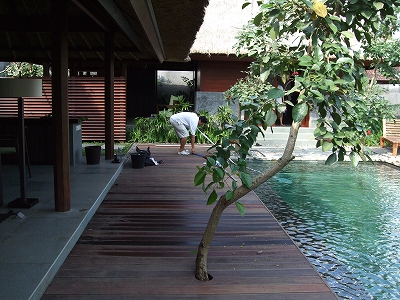 b0101284_15513949.jpg