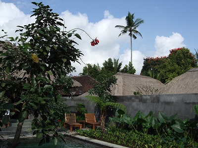 b0101284_1555345.jpg