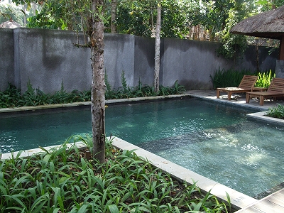 b0101284_161370.jpg