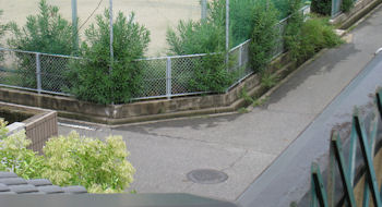 c0107588_1539556.jpg