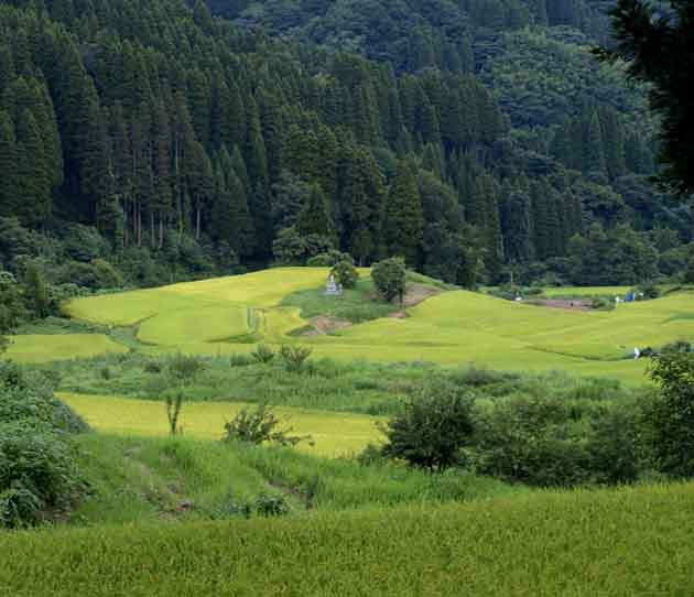 d0088788_2227445.jpg