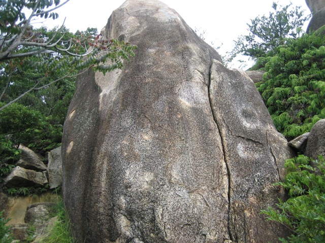c0147398_19402340.jpg