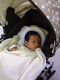 b0072199_1165869.jpg