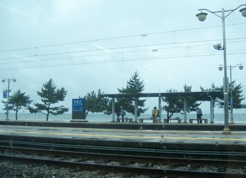 d0041400_22451314.jpg