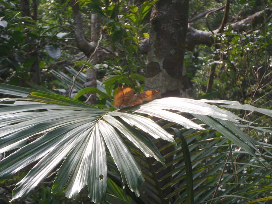 e0049101_1623814.jpg