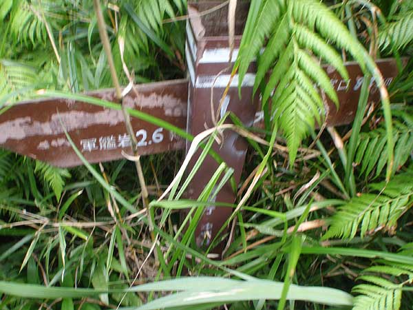 e0049101_16245657.jpg