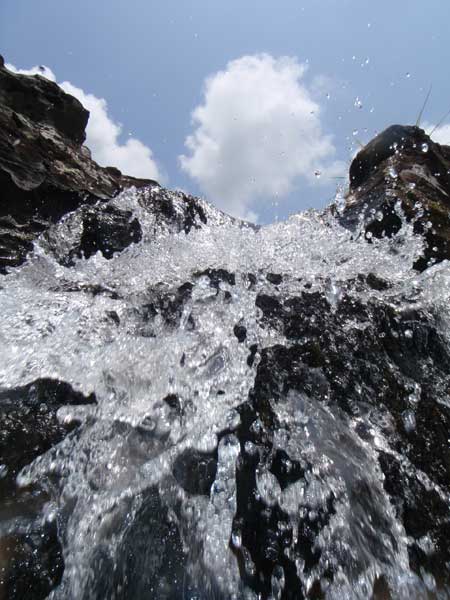 e0049101_16304545.jpg