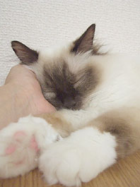 e0012610_1035958.jpg