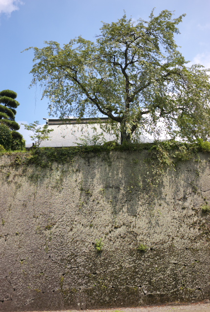 d0143011_2310106.jpg