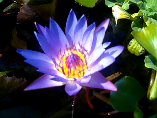 a0101715_13394753.jpg
