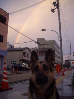 c0090220_18482794.jpg