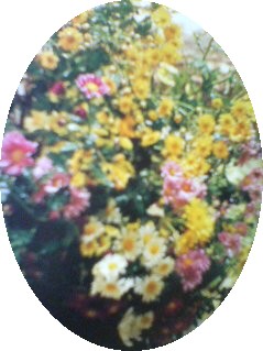 a0098027_1742910.jpg