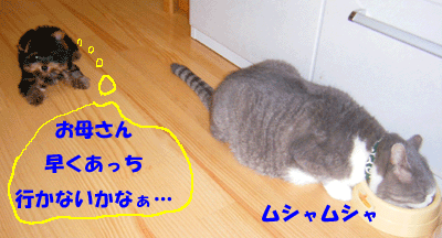 f0008935_1355851.gif