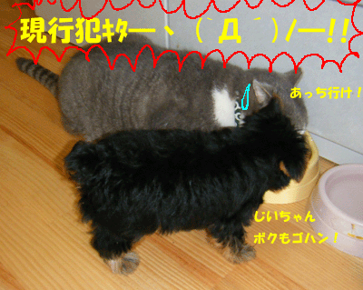 f0008935_1365884.gif