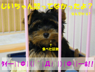 f0008935_1375942.gif
