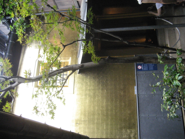 f0025741_15922.jpg