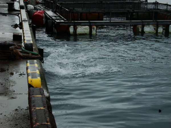 e0111346_2253193.jpg