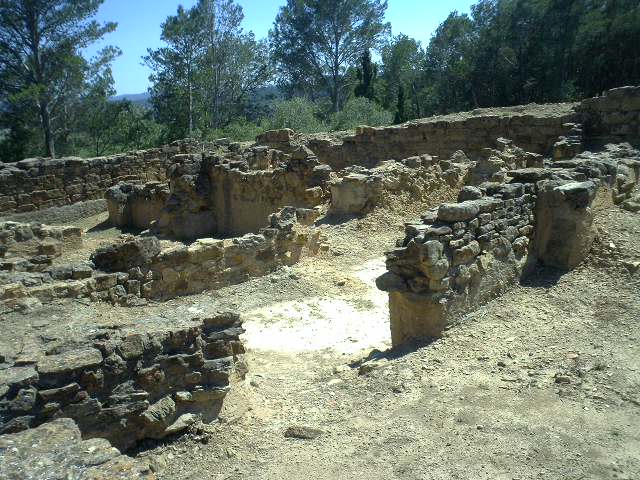 d0061952_1655191.jpg