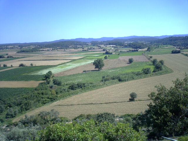 d0061952_170222.jpg