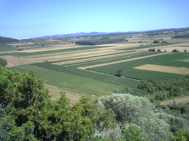 d0061952_1703377.jpg