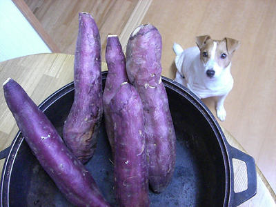 f0108553_20591395.jpg