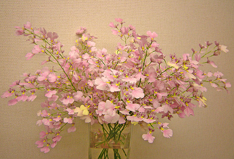 a0001354_21594916.jpg