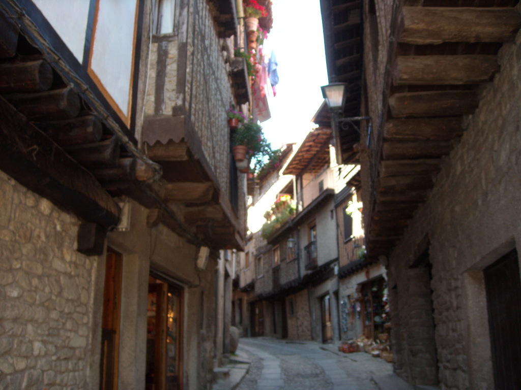d0137658_731962.jpg