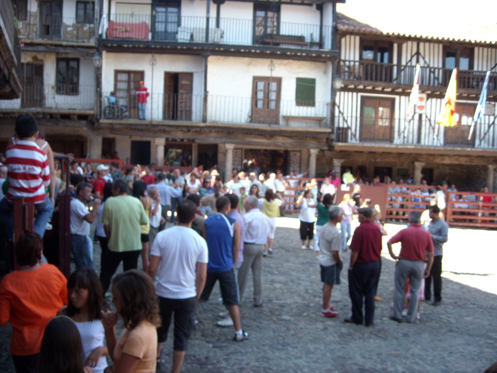 d0137658_735367.jpg