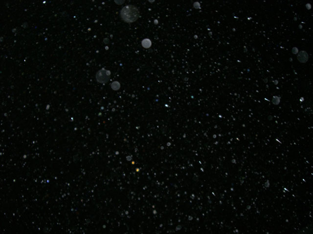 b0129662_7352443.jpg