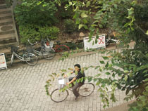 c0177264_11145830.jpg