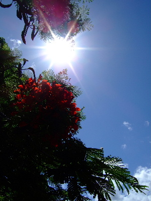 d0102664_16374993.jpg
