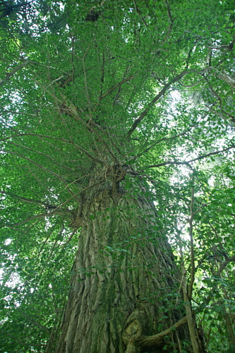 e0006964_15141757.jpg