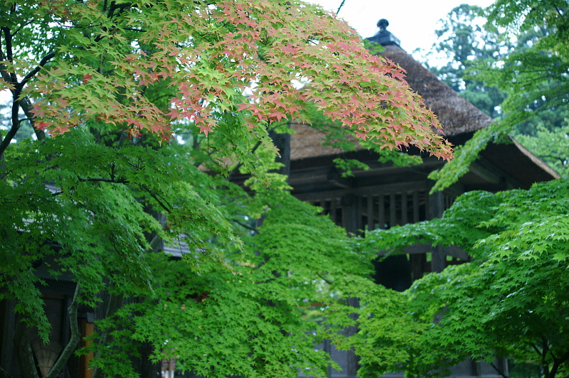 e0006964_20272699.jpg