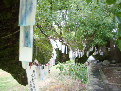 c0027965_031642.jpg