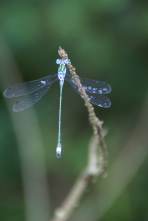 a0091666_2284993.jpg