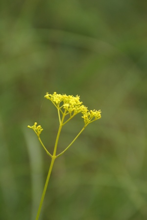 a0091666_2292228.jpg