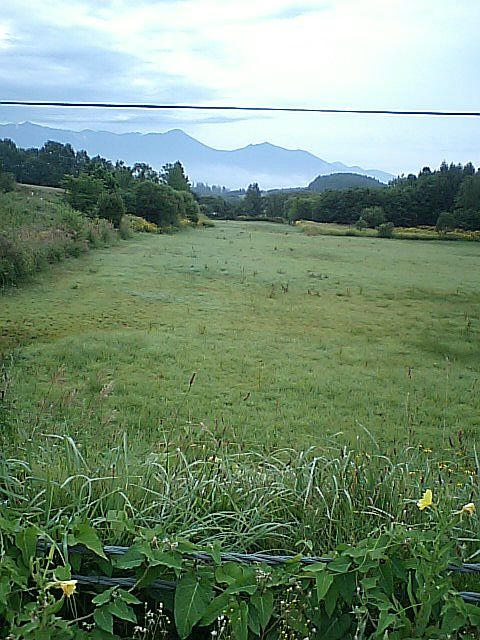 b0100973_13282318.jpg