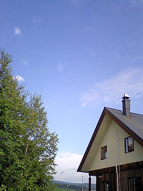 b0100973_13284668.jpg