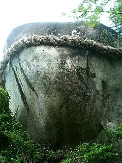 f0054677_6365547.jpg