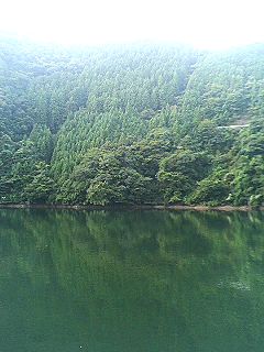 f0054677_641229.jpg