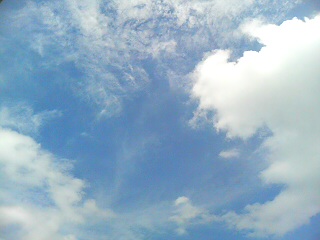 c0066080_1119419.jpg