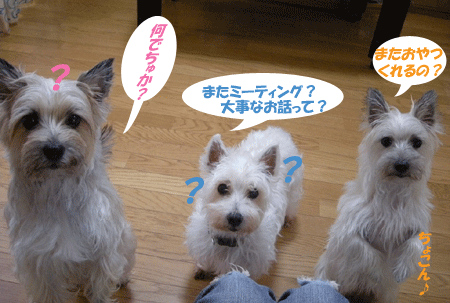 e0066883_1315816.gif