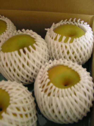 f0104487_22503529.jpg